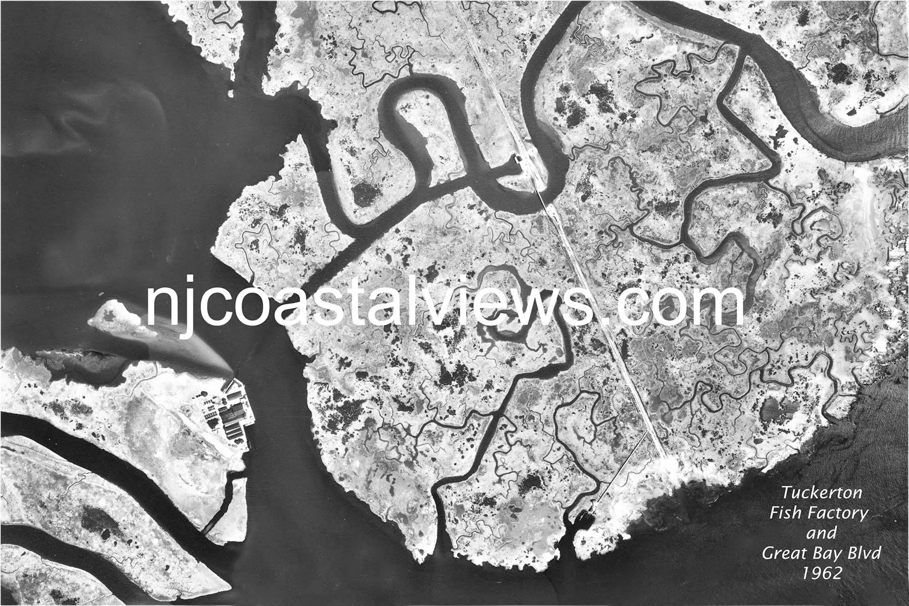 Tuckerton, Mystic Island, Fish Factory 1962